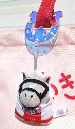 Another photo featuring my horse shoe carabiner. It can be used to carry multiple accessories!